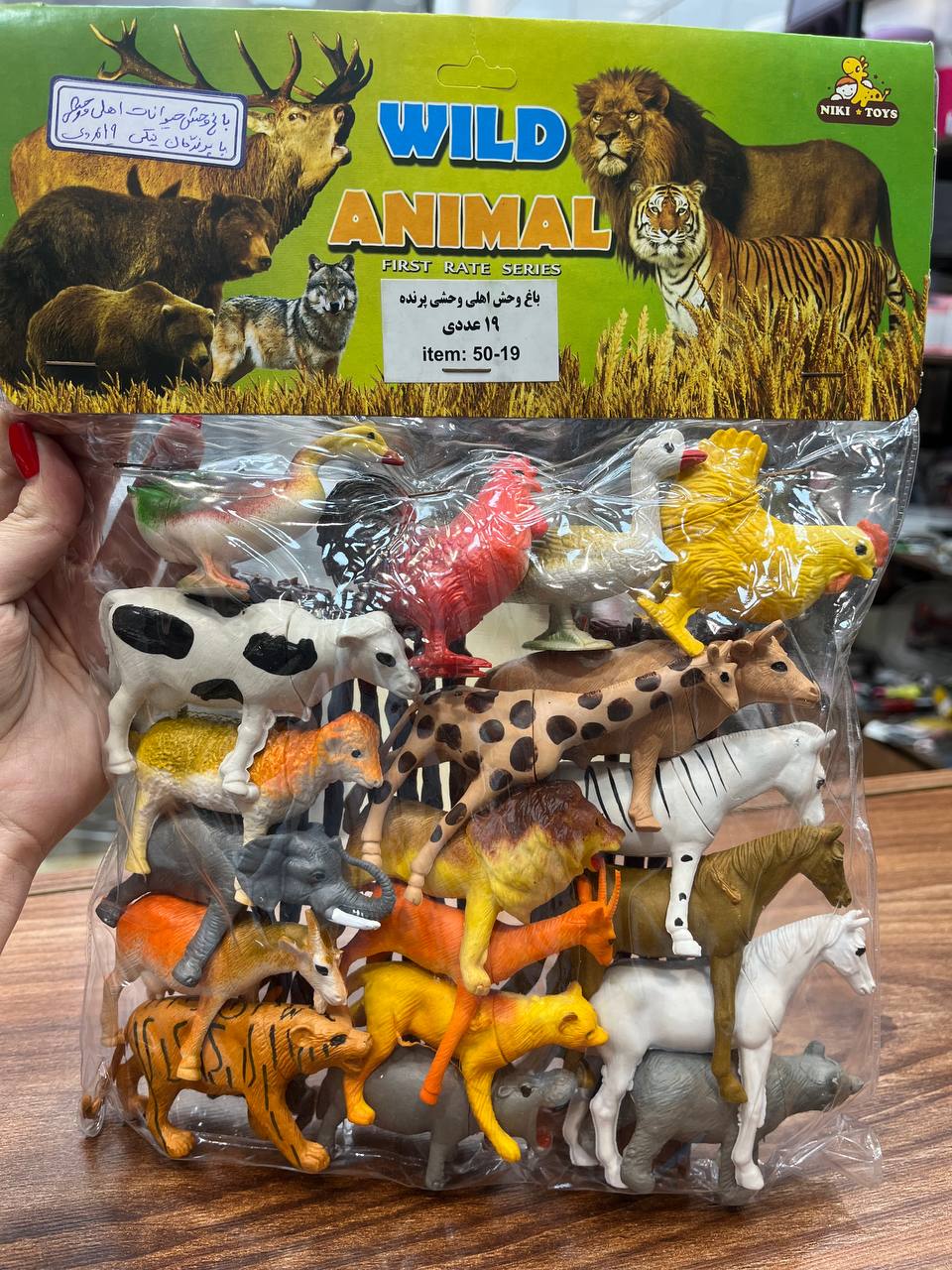 photo_۲۰۲۵-۱۱-۰۴_۱۰-۰۰-۵۴