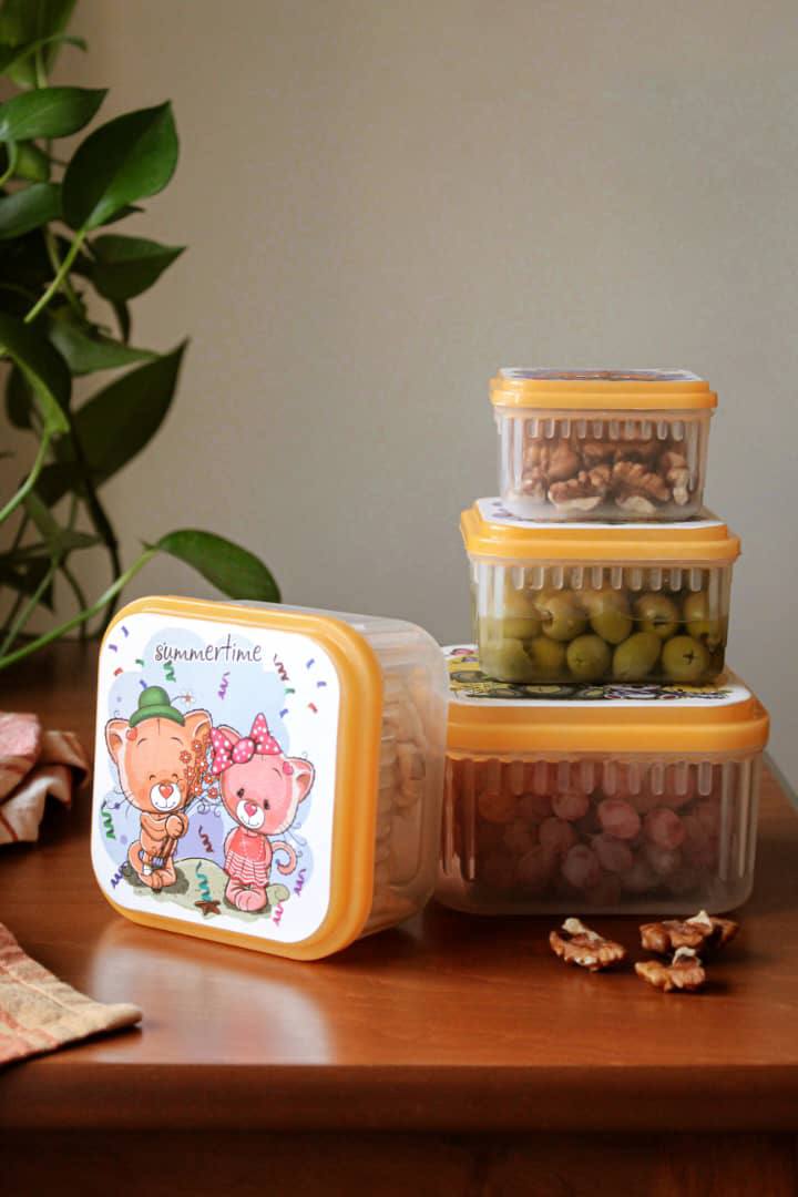 photo_۲۰۲۵-۱۱-۱۶_۱۱-۲۴-۳۰